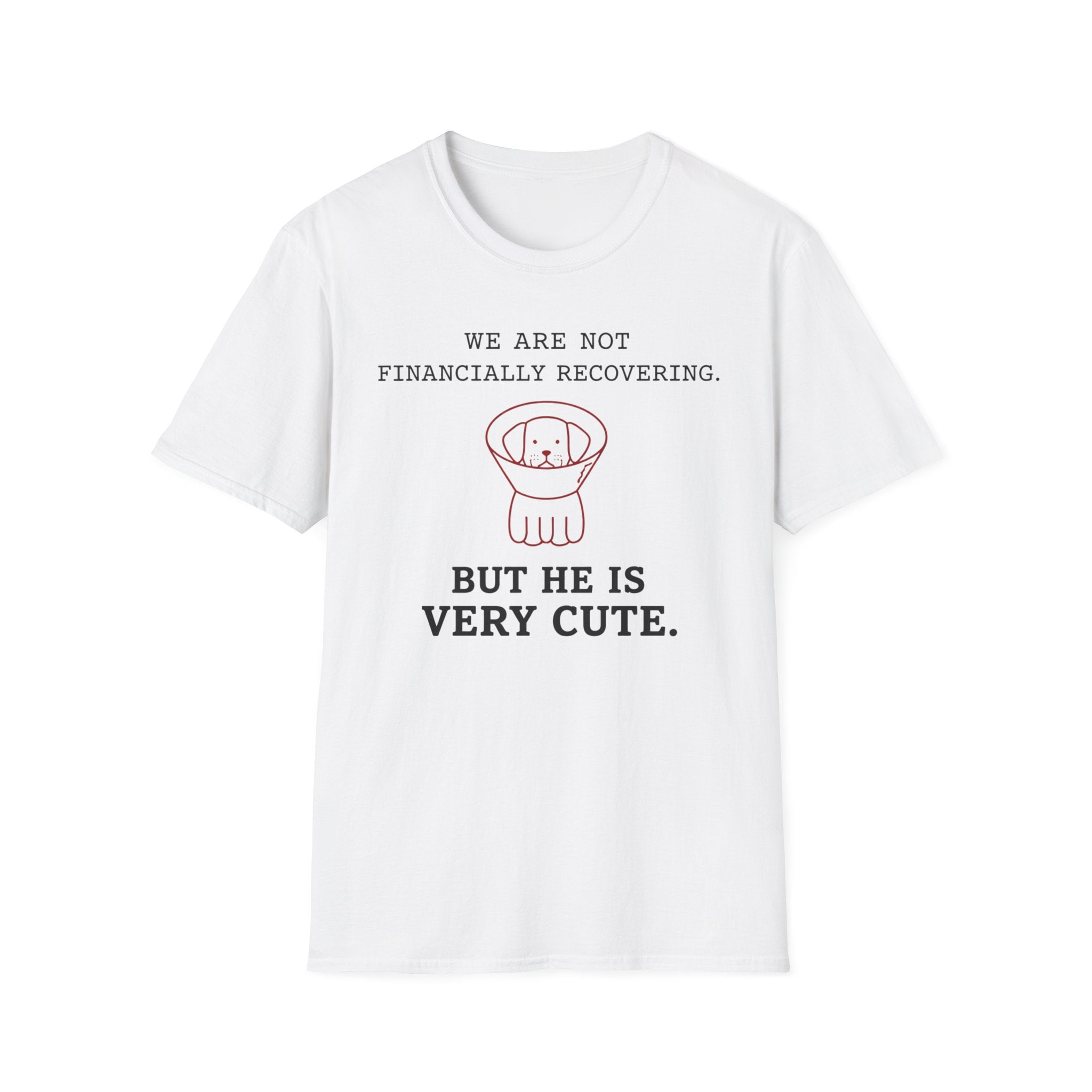 Not Financially Recovering - T-Shirt