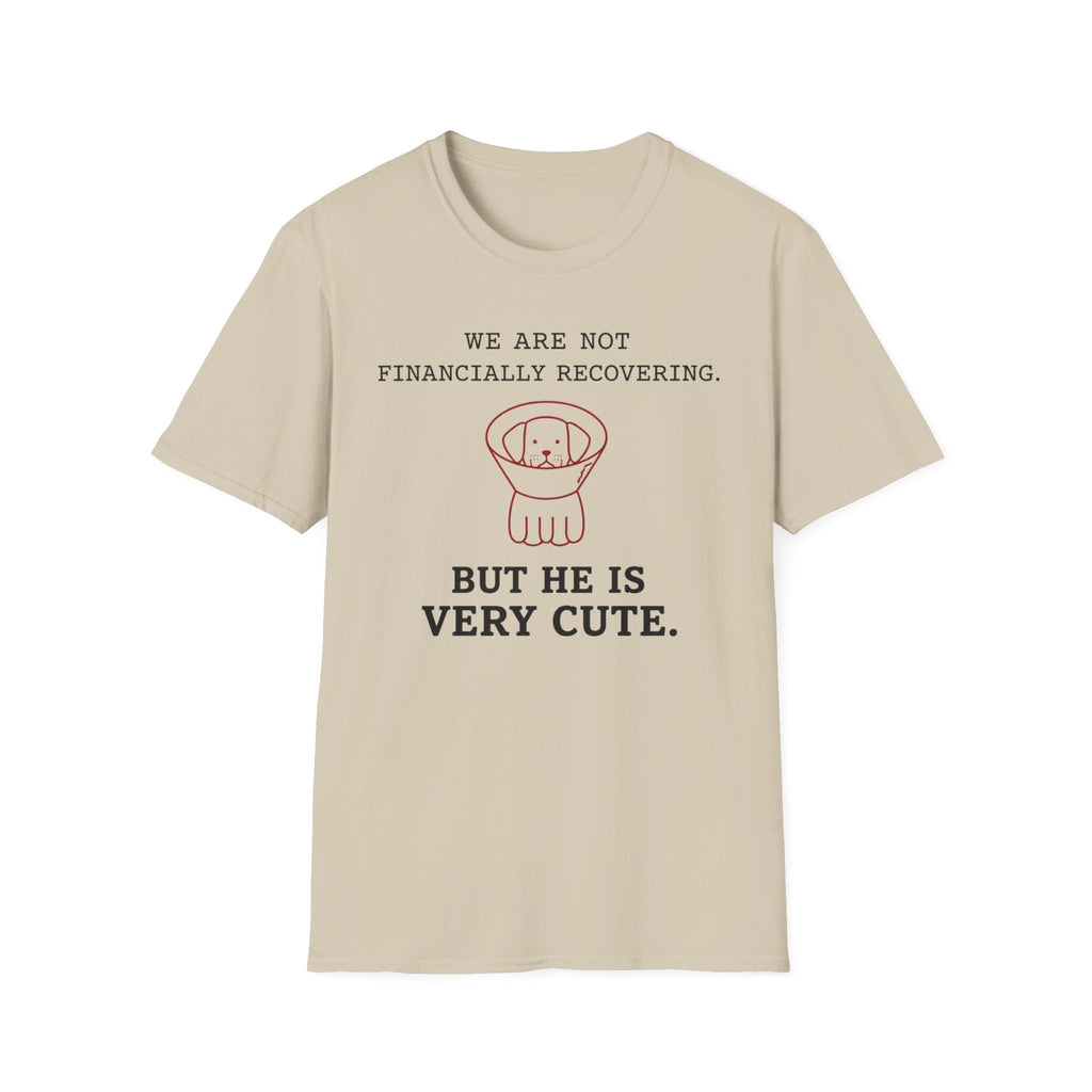 Not Financially Recovering - T-Shirt