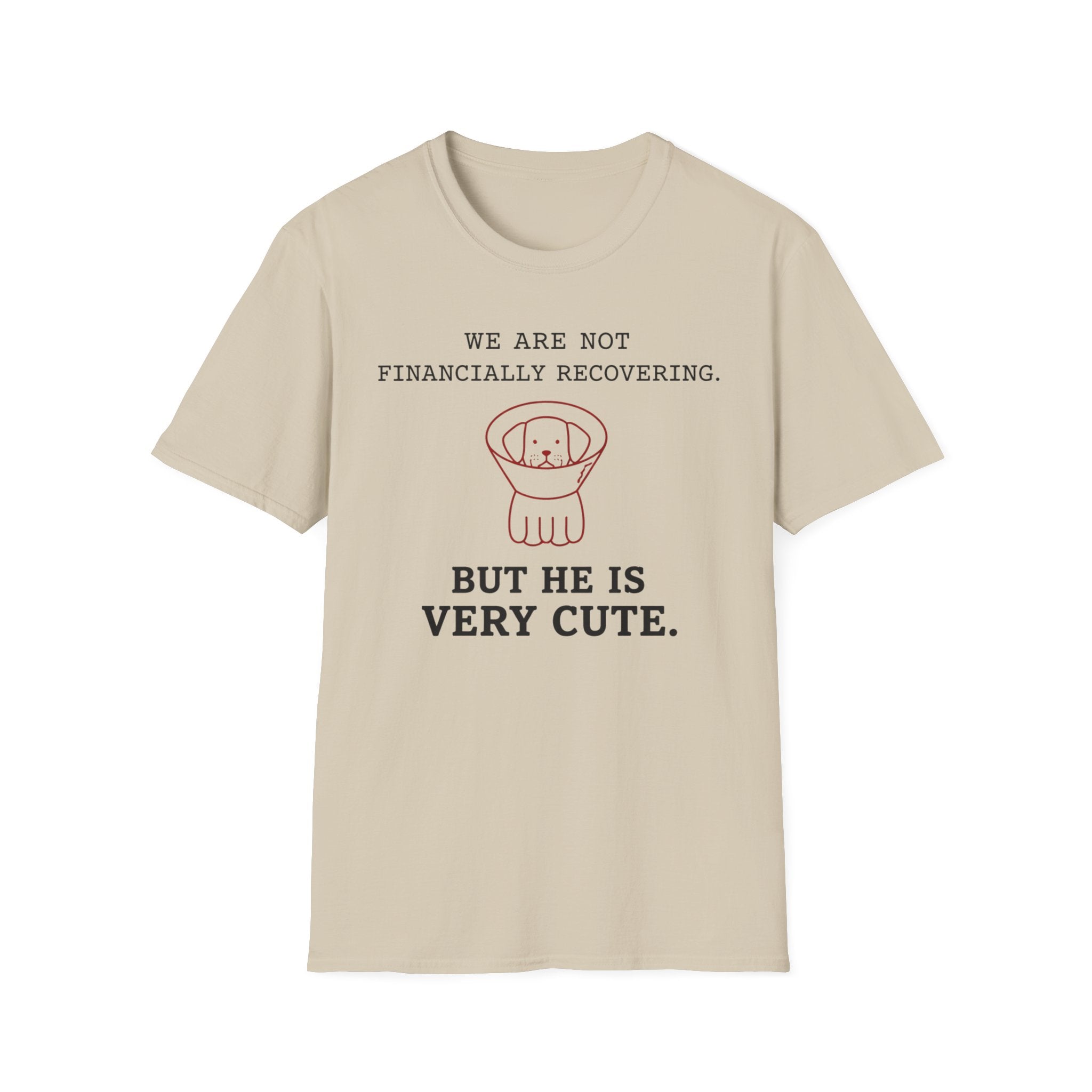Not Financially Recovering - T-Shirt