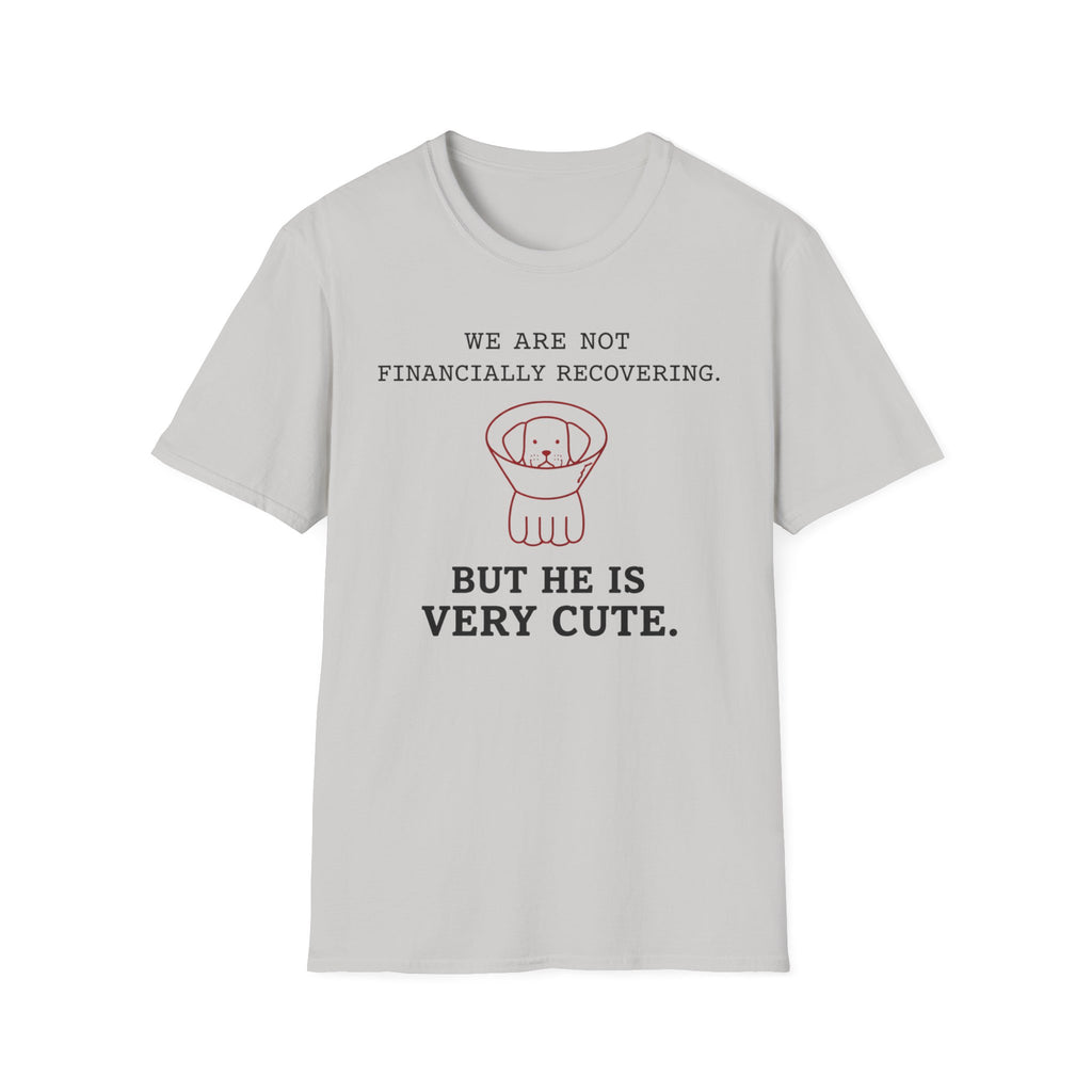 Not Financially Recovering - T-Shirt