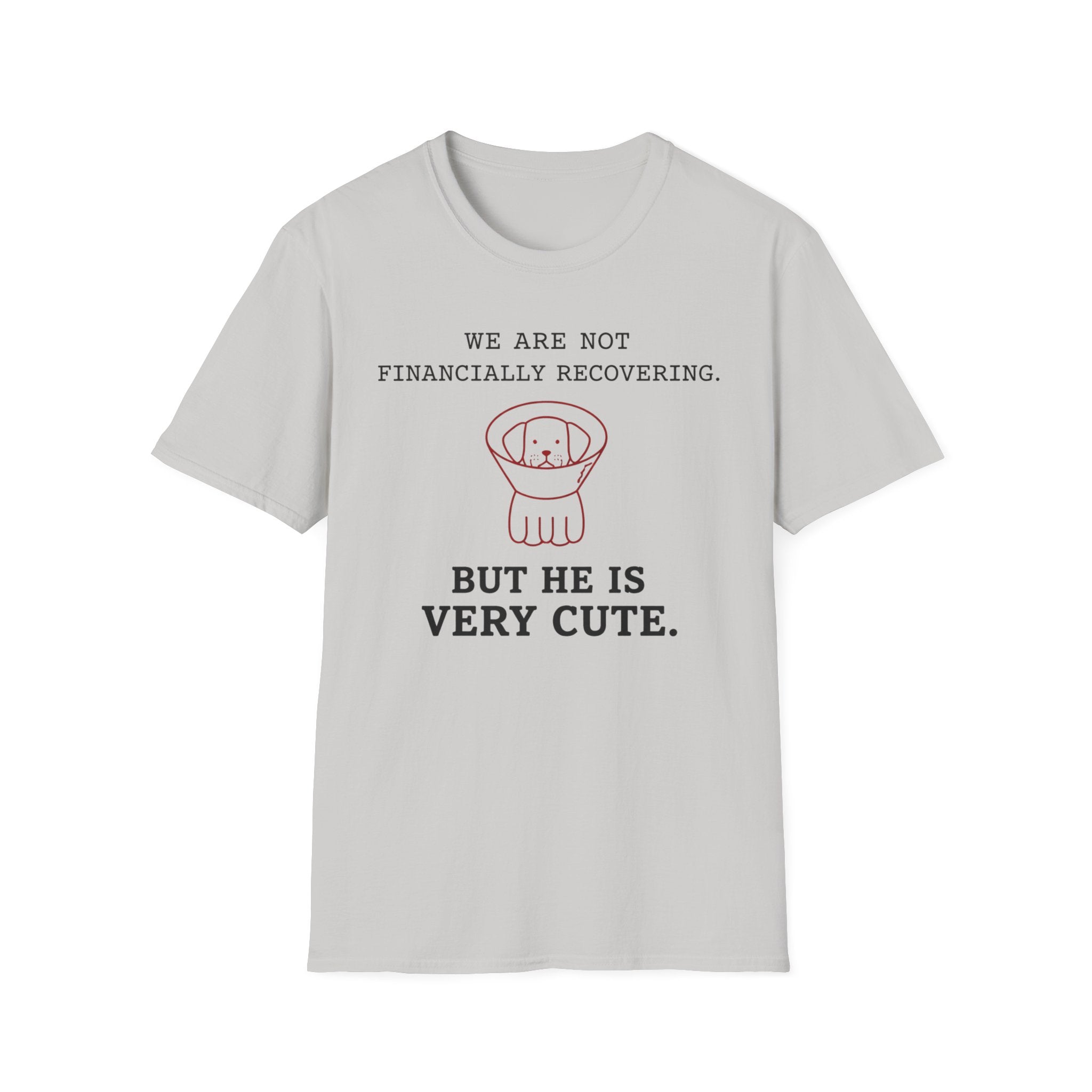 Not Financially Recovering - T-Shirt