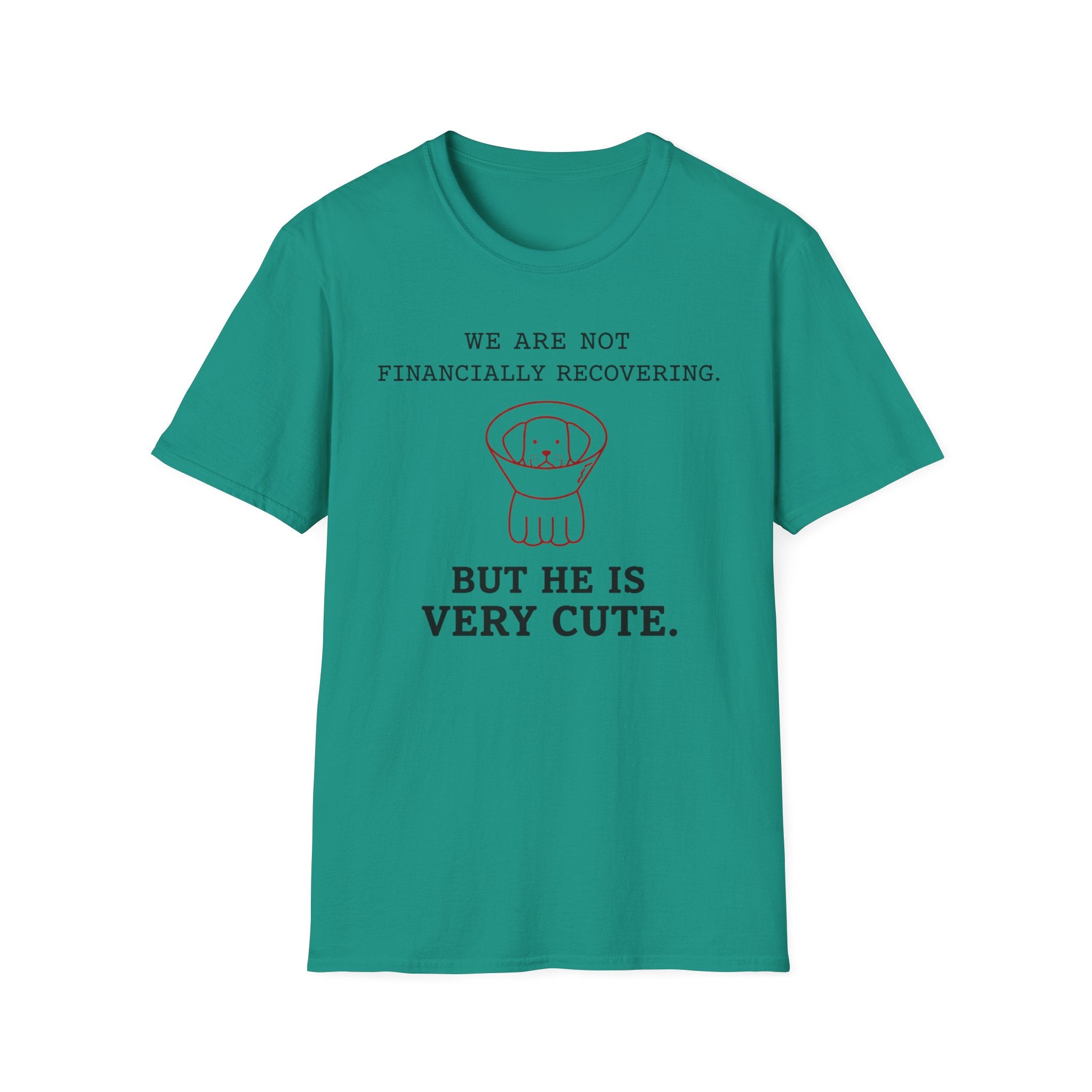 Not Financially Recovering - T-Shirt