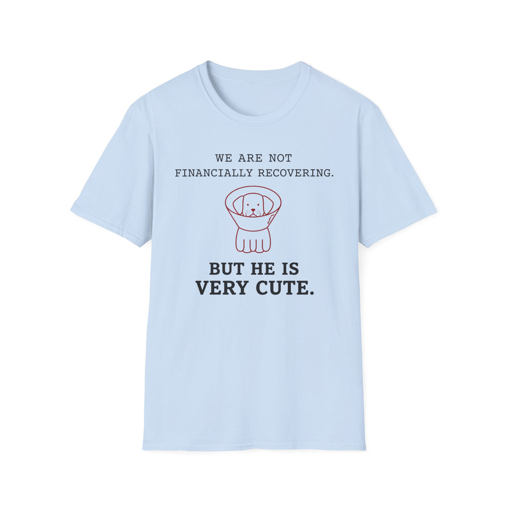 Not Financially Recovering - T-Shirt