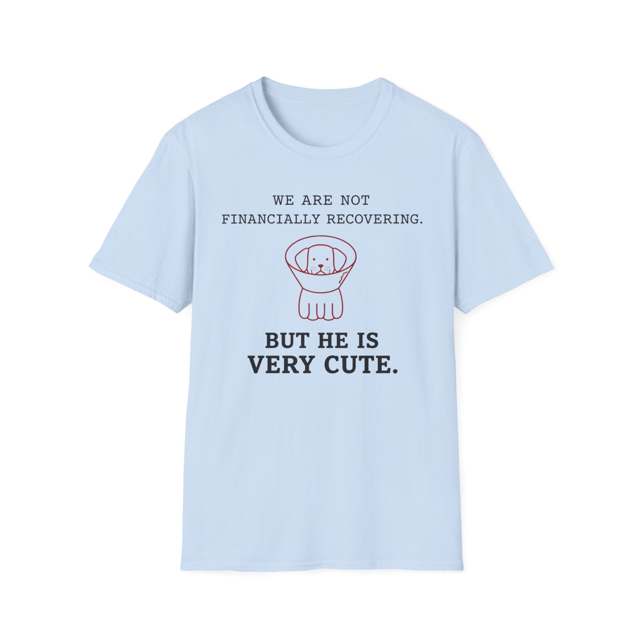 Not Financially Recovering - T-Shirt