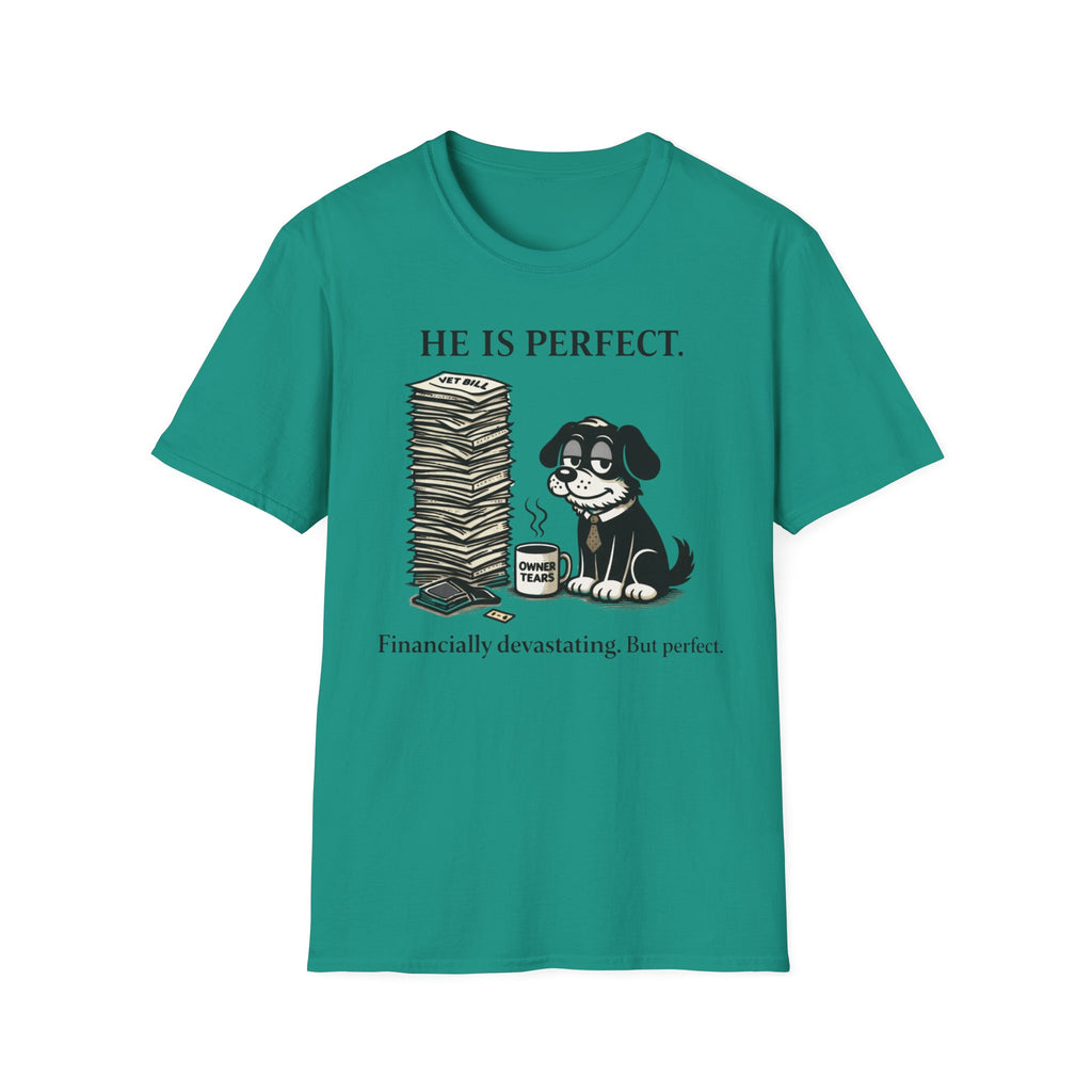 He is Perfect - T-Shirt